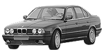 BMW E34 P2254 Fault Code